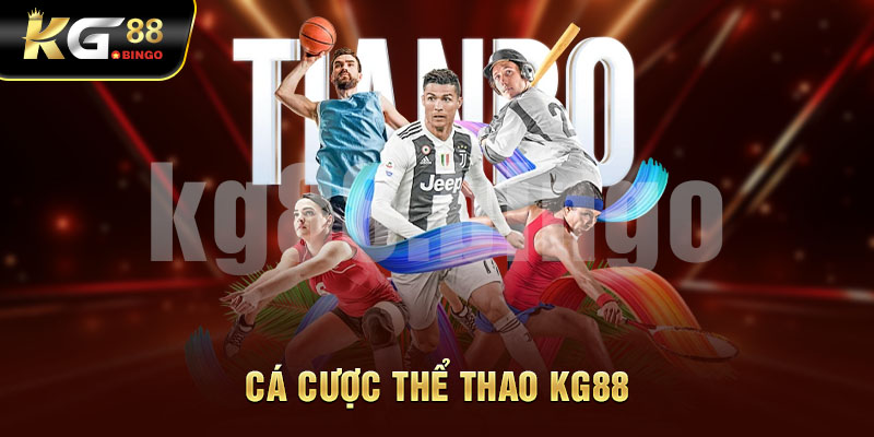 tham gia cá cược thể thao tại nhà cái Kg88