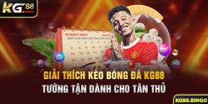 Mục đích của việc giải thích kèo bóng đá cho cược thủ