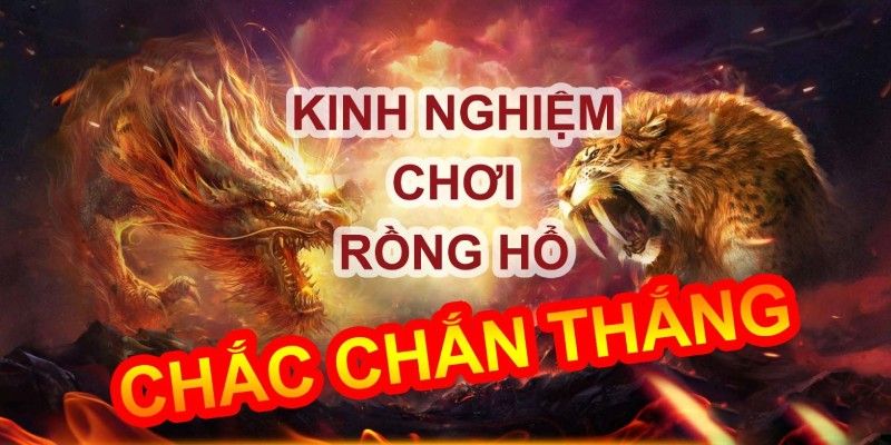 Lưu ý khi theo dõi kinh nghiệm chơi rồng hổ