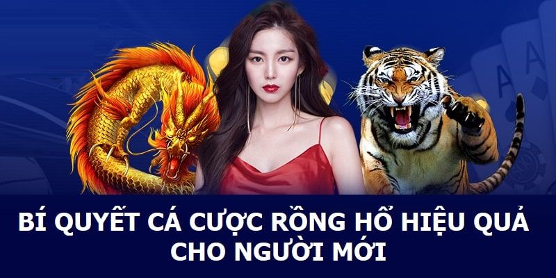 Kinh nghiệm chơi rồng hổ tại KG88 luôn thắng